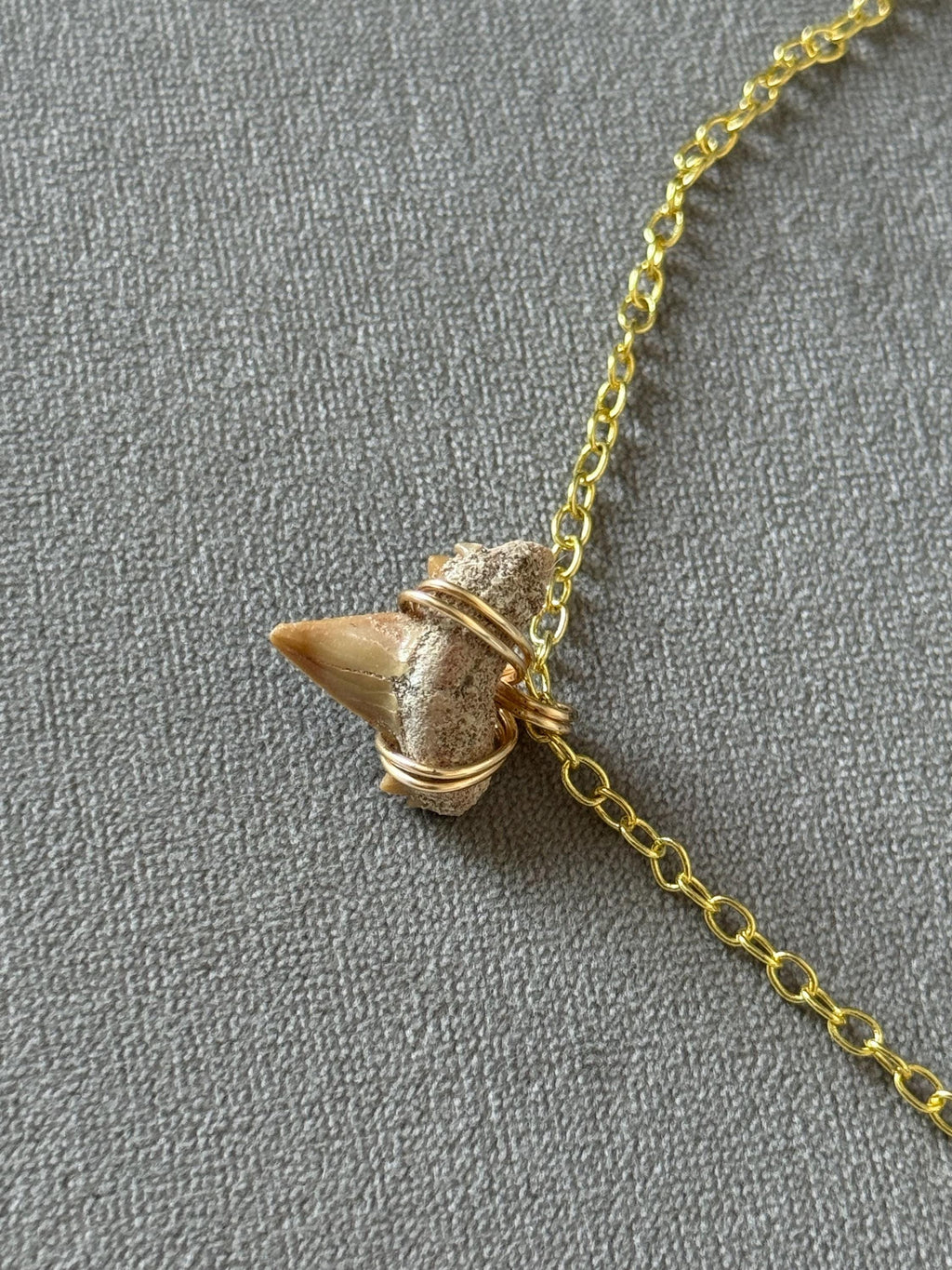 Blood Moon Shark Tooth Necklace