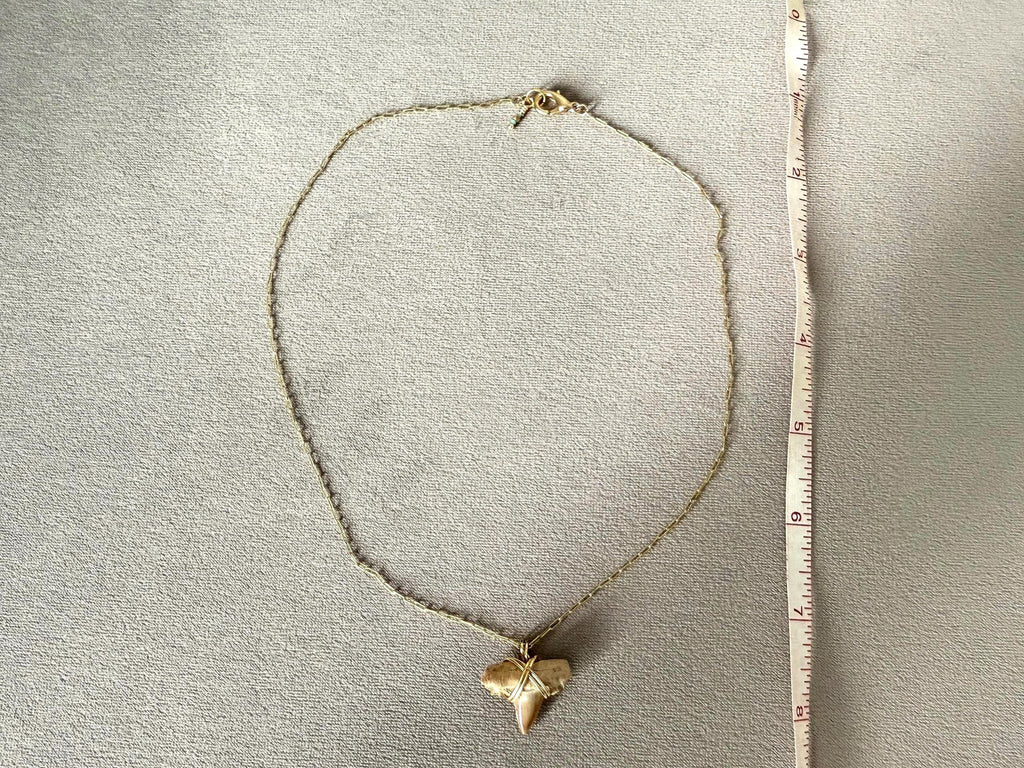 Feral Grace Fossil Shark Tooth Necklace