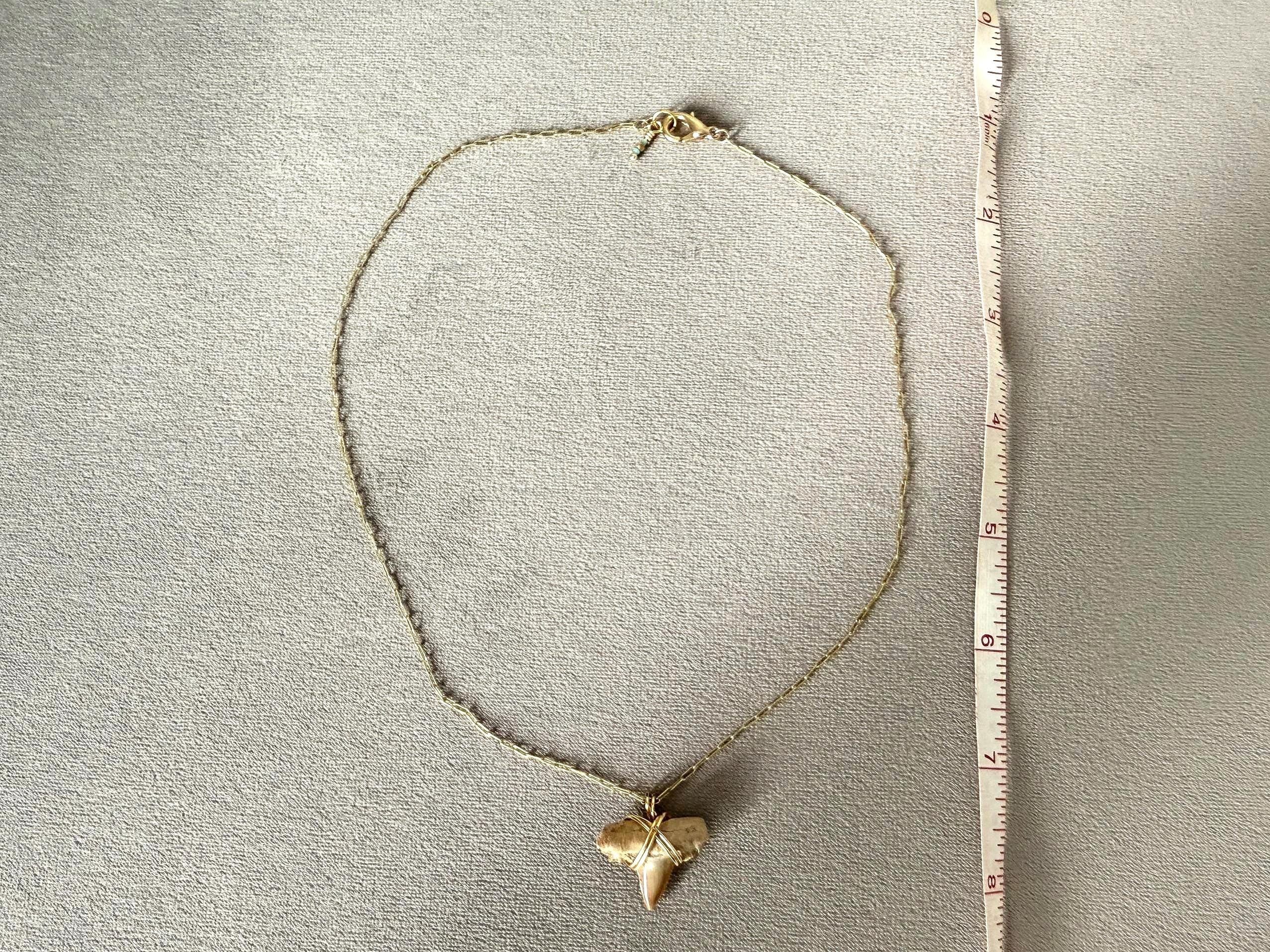 Feral Grace Fossil Shark Tooth Necklace