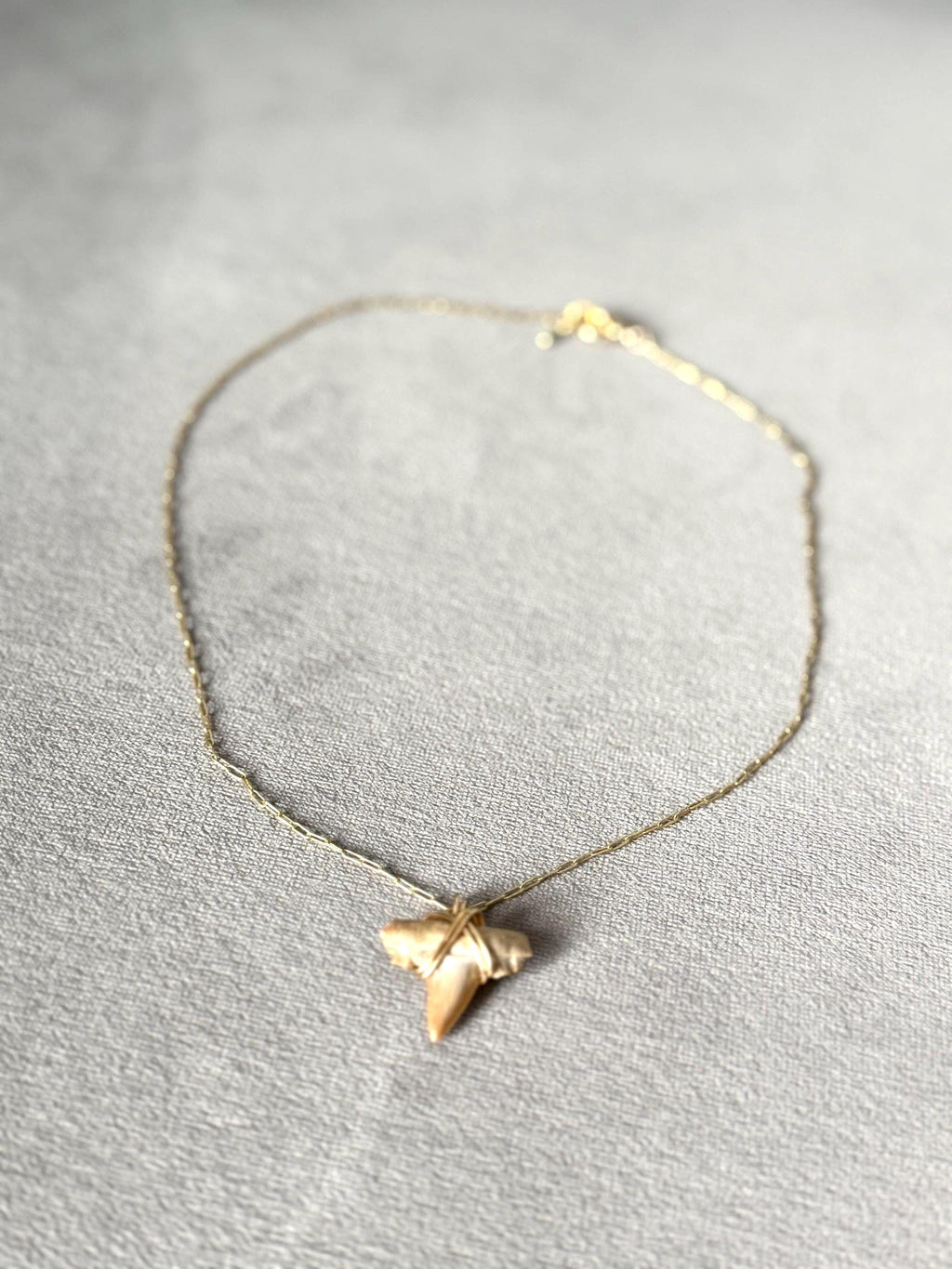 Feral Grace Fossil Shark Tooth Necklace