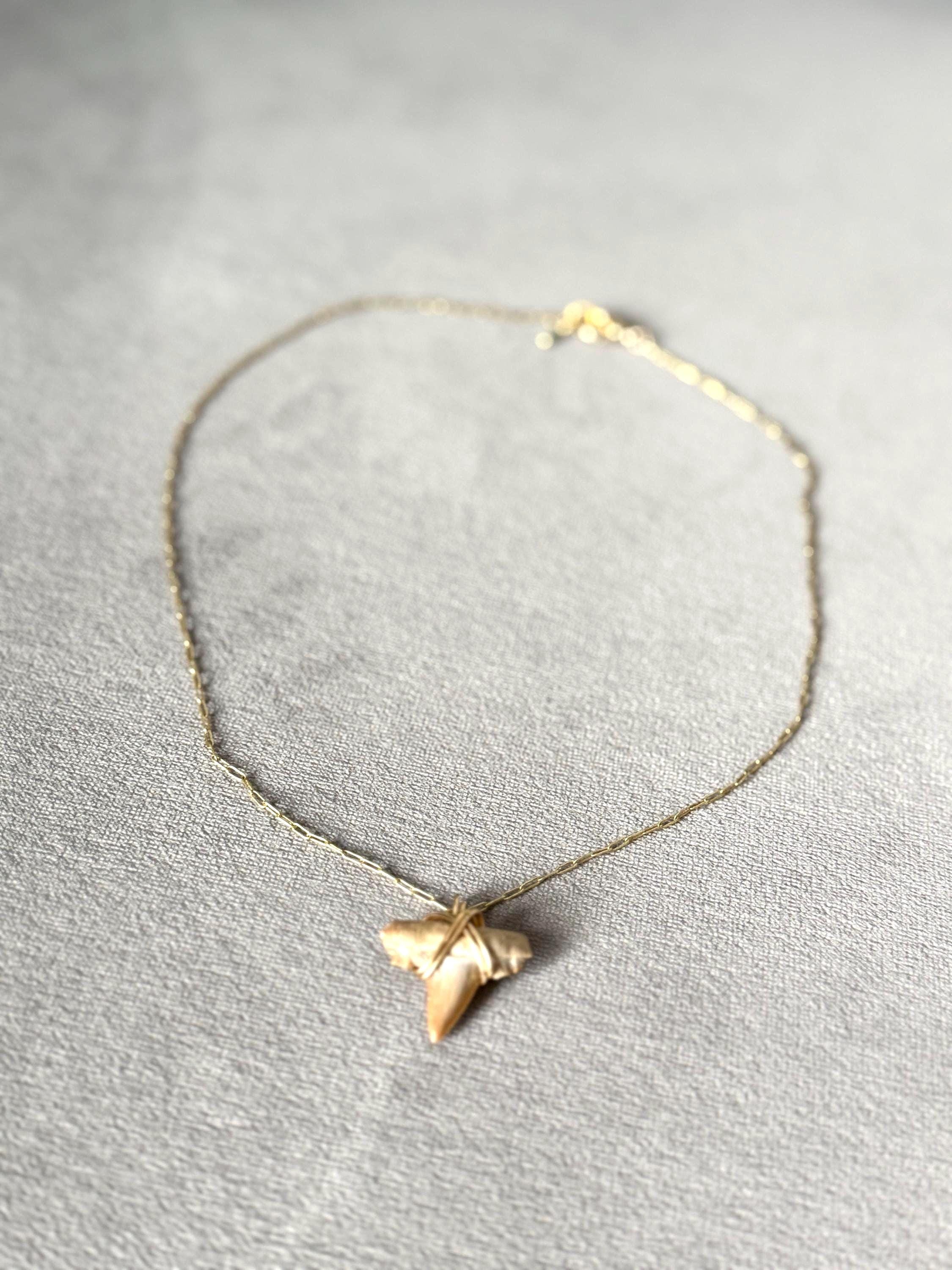 Feral Grace Fossil Shark Tooth Necklace
