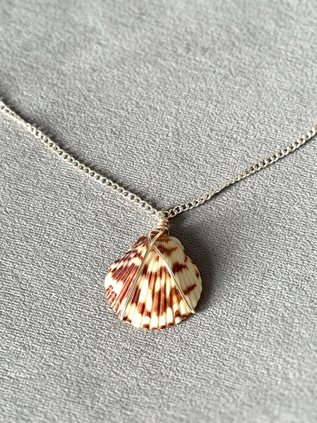 Shoreline Muse Shell Necklace