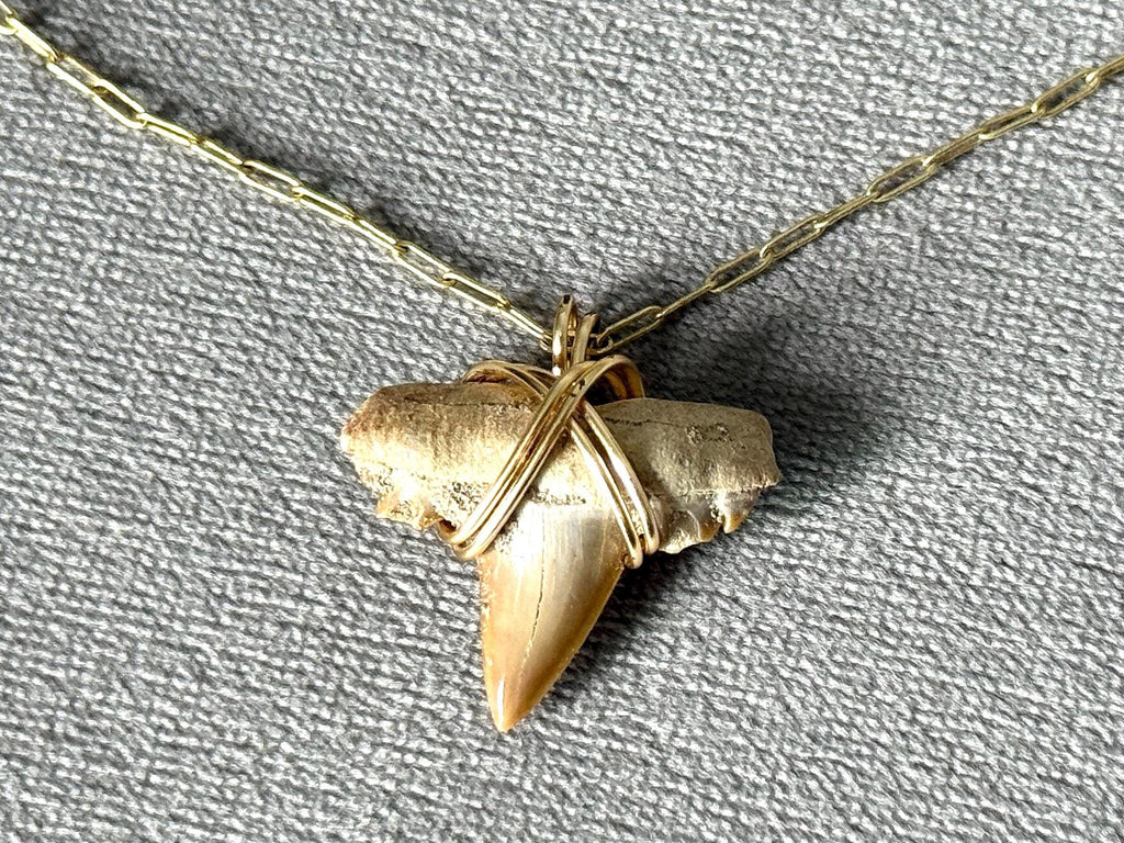 Feral Grace Fossil Shark Tooth Necklace