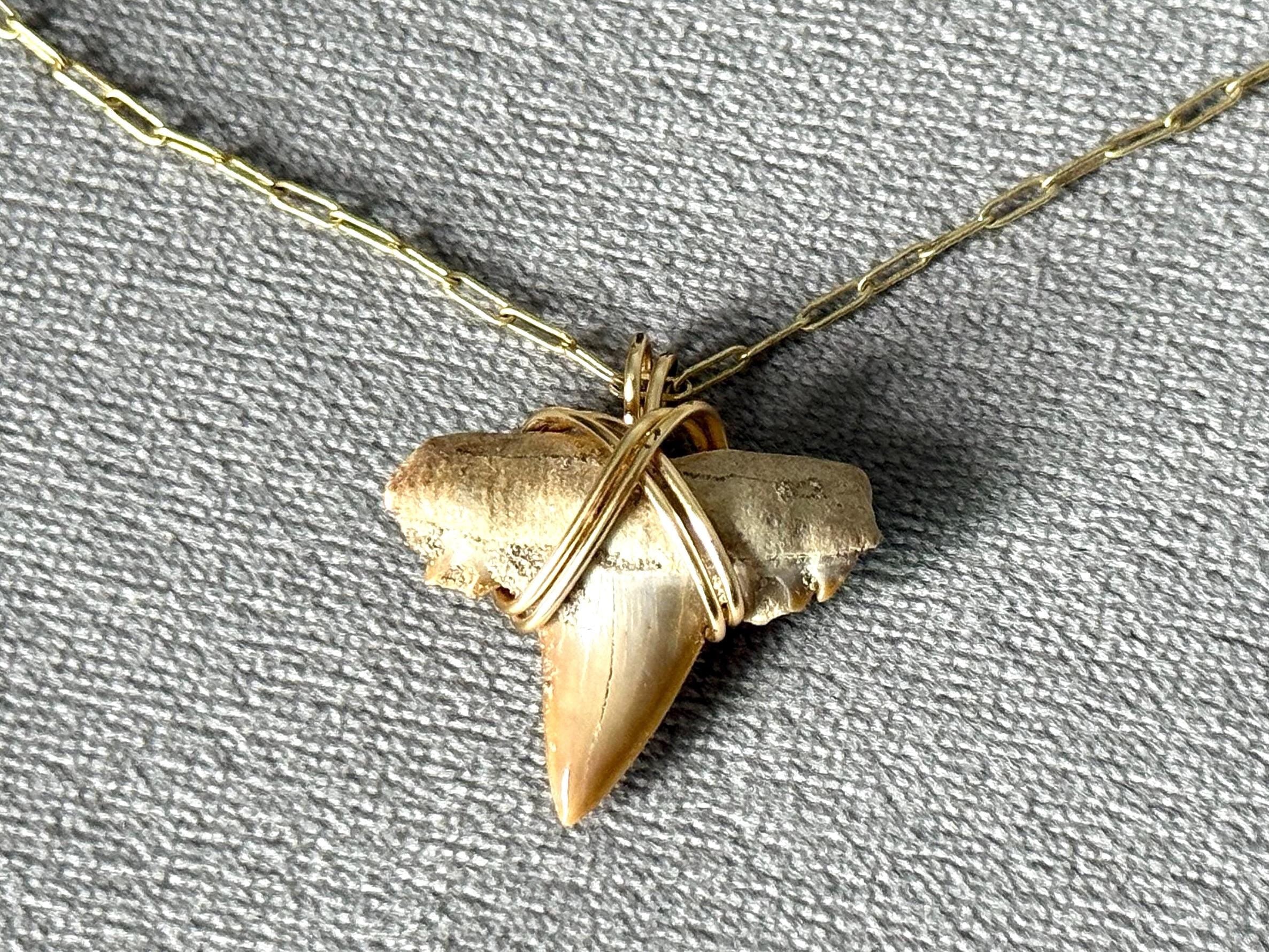 Feral Grace Fossil Shark Tooth Necklace