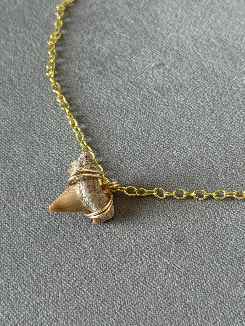 Blood Moon Shark Tooth Necklace