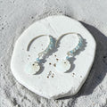 Tidebound Sand Dollar Earrings